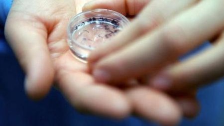 详细解读海城市做长方案试管婴儿费用，长方案和短方案成功率有差别吗？