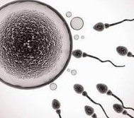 在上海想通过试管生个孩子哪个医院成功率高？