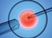 山西试管助孕试管成本介绍，附节省试管成本的方法推荐