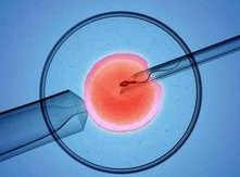 泰国试管婴儿医院新排名，揭秘隐藏的热门医院