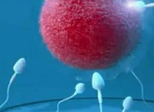 死精率80%的男性可以在福泉市做三代试管吗？公开2026做三代试管条件