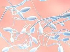 陕西试管三代选择价格参考，2026陕西三代试管医院总览